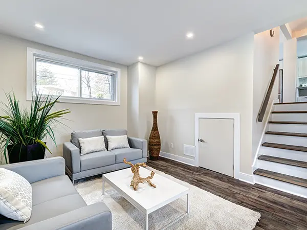 A living room in a basement with LVP flooring, a carpet, and two small, gray couches