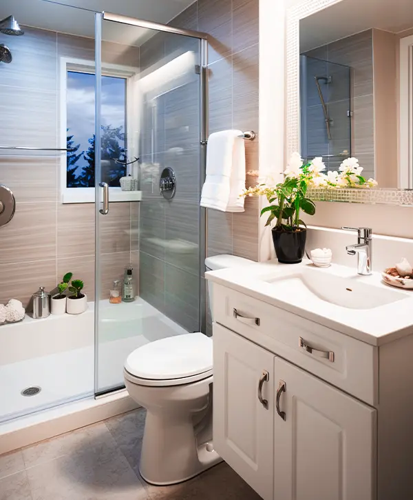 Modern bathroom with glass shower enclosure, white vanity, and decorative plants