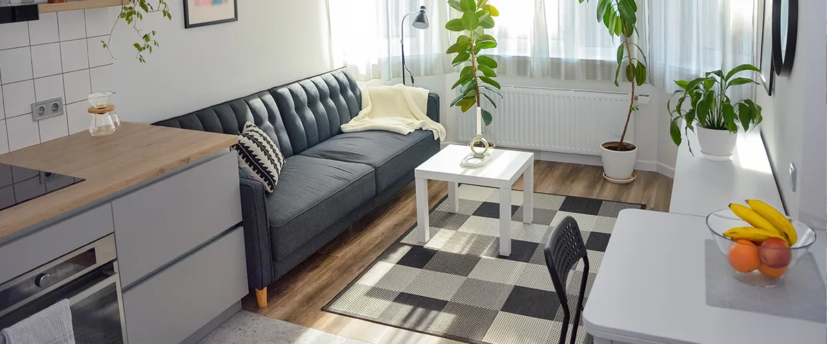 Modern small living room remodel with cozy sofa, indoor plants, and minimalist design